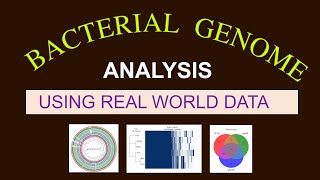 Whole Genome Sequence Analysis  Bacterial Genome Analysis  Bioinformatics 101 for Beginners [upl. by Drawets]