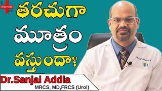 Urine Health Problems Telugu  Urine Infection  Blood in Urine Causes  Health Tips  TD TV [upl. by Yardna89]