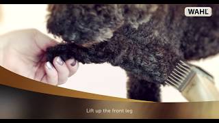 WAHL  Dog Clipping Tutorial [upl. by Ahsiekrats]