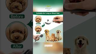 Revolutionize Pet Grooming with SelfCleaning Slicker Brush 🐈PetGrooming SlickerBrush PetCare [upl. by Robson]