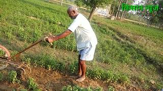 मैंथा की फसल की निराई गुड़ाई की नयी वैज्ञानिक मशीनNirai Gudai MachineMentha Nirai Gudai Machine [upl. by Ethe]