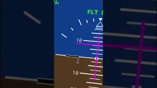 Diese 787 ist fast abgestürzt AeroNews shorts [upl. by Hgielram]