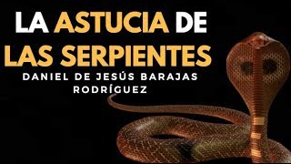 LA ASTUCIA DE LA SERPIENTE  ENSEÑANZAS DE LOS ANIMALES [upl. by Gnot]