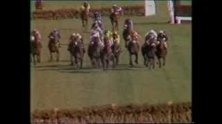 1988 Waterford Crystal Champion Hurdle Challenge Trophy [upl. by Breena]