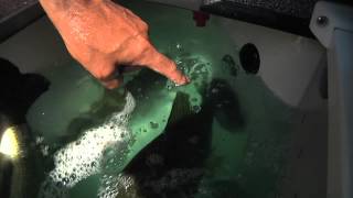 Chasin Outdoors 101How to keep fish alive using the Oxygenator [upl. by Gwyn]