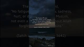 Positivity Islamic hadith Sahih AlBukhari [upl. by Herzen]