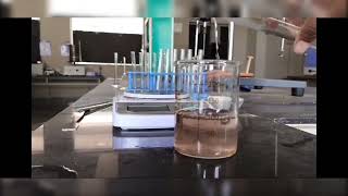 Determine the Foaming Index of given Crude drug Saponin Acacia Bpharm 4th sem PCognosy Practical [upl. by Attela501]