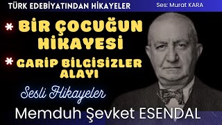 quotBir Çocuğun Hikayesiquot quotGarip Bilgisizler Alayıquot Memduh Şevket Esendal Hikayeleri [upl. by Srini]