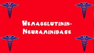 Pronounce Medical Words ― Hemagglutinin―Neuraminidase [upl. by Reinert123]