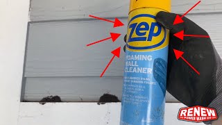 How to get rid of Mud Dauber Wasp Nests This Really Works Amazing Results [upl. by Bartholomew542]