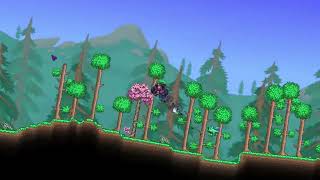 Terraria Onyx Blaster be like [upl. by Anelrihs550]