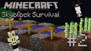 Minecraft Skyblock Survival  Episode 2  Tree Farm  Featuring TheSleepyKitten HD [upl. by Assilat]