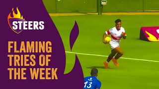 Steers Flaming Tries of the Week  Varsity Shield round 1 and 2 [upl. by Ahsieni]