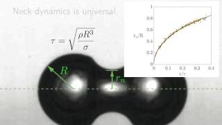 Diffusivelygrowing gas bubble coalescence [upl. by Keheley]