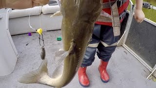 How to Catch BIG Catfish  Baits Rigging Cast Net Tutorial and Location ft Catfish and Carp [upl. by Regnij]