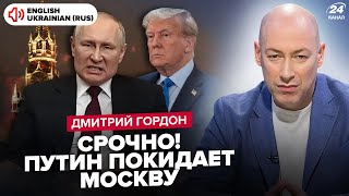 ⚡️ГОРДОН ВСЕ Гаряча фаза війни ЗАКІНЧИТЬСЯ у 2024 Трамп запропонує УГОДУ Путіну та Зеленському [upl. by Audres241]