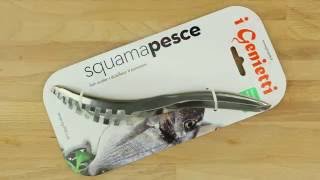 Squama Pesce [upl. by Ferne]