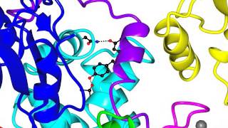 RING E3 ubiquitin ligase [upl. by Dupaix763]