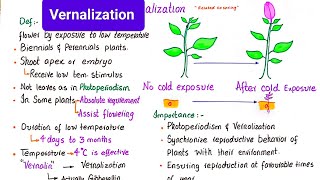 Vernalization  vernalization in plants  class 12 [upl. by Yeclehc312]