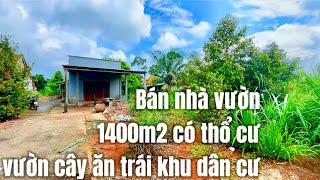 Hoàn cảnh khó khăn chị Hân đành phải bán đi căn nhà vườn cây ăn trái có thổ cư Ở BRVT [upl. by Assisi]