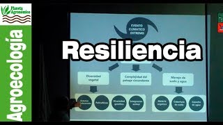 RESILIENCIA y DIVERSIDAD 🌱🐞🍀 en un agroecosistema [upl. by Etnahsal]