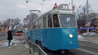 Mustangen vid Liljevalchs och Gröna Lund [upl. by Gawain581]