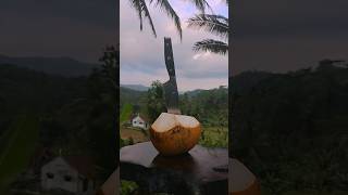 splitting the peeled coconut asmr satisfying [upl. by Eleni]