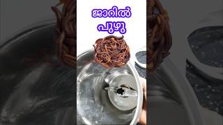 How to clean maxi jar  മിക്സി ജാർ ക്ലീനാക്കുന്നതെങ്ങനെ  Excel Electricals [upl. by Madelyn]