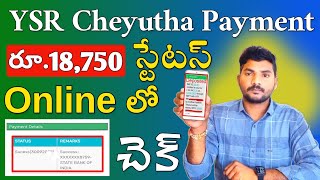 How to Check YSR Cheyutha Payment Status Online 2024  YSR Cheyutha 2024 Payment Status [upl. by Tonry73]