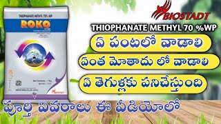 62 Biostadt Roko FungicideThiophanate Methyl 70WPపూర్తి వివరాలు ఈ వీడియోలో [upl. by Littlejohn742]