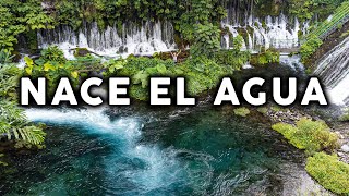 Aquí es donde NACE EL AGUA 💦 el descabezadero de Actopan Veracruz [upl. by Haik]