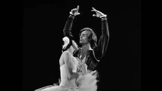 Margot Fonteyn amp Rudolf Nureyev beautiful performance SWAN LAKE a Tchaikovsky ballet 1965 [upl. by Sweatt56]