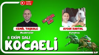 KOCAELİ  Canlı Yayın  Bariyer Dibi  8 Ekim 2024 Salı atyarisi [upl. by Clare658]