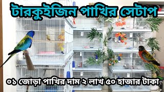 টারকিউজিন পাখি পালন পদ্ধতি ও দাম। টারকিউজিন পাখির খামার । [upl. by Ennairol]