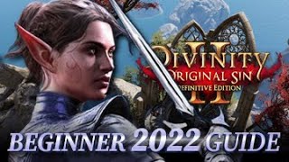 2022 Beginners Guide For Divinity Original Sin 2 Definitive Edition [upl. by Angelico862]