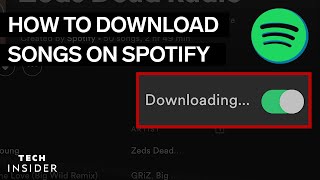 How To Download Music From Spotify 2022 [upl. by Llertniuq594]