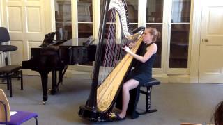 The Moldau Bedrich Smetana harp [upl. by Swanson]