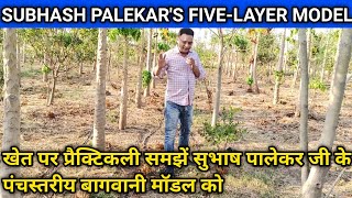 Dos and Donts of Subhash Palekar 5 Layer Model   Subhash Palekar Natural Farming [upl. by Haiasi]