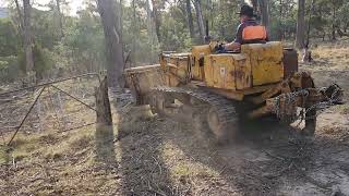 OLD INTERNATIONAL 125B DROTT CLEARING OLD FENCE LINE PART 1 [upl. by Zere]