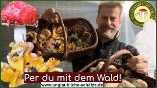 Volle Körbe  Pilzsammler im Pilzglück Per du mit dem Wald Pilze sammeln im Oktober 2023 [upl. by Watkins]