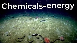 Chemosynthesis explained [upl. by Calle568]