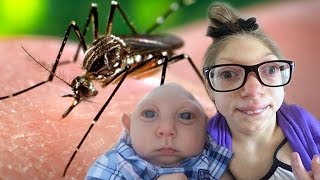 Top 10 Zika Virus Facts You Need To Know [upl. by Llewej]