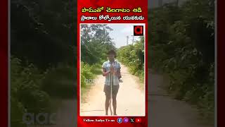 పాముతో చెలగాటం ఆడి ప్రా  లు కోల్పోయిన Young Man Lost His Life Playing With A Snake  AADYA TV [upl. by Ertnod]