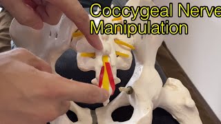 How to do neural manipulation for coccygeal nerve English [upl. by Grearson]