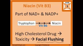 Water Soluble Vitamin Deficiency Scurvy Pellagra WernickeKorsakoff Syndrome Beriberi [upl. by Dulcie]