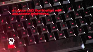 Trust Gaming GXT 280 LED Illuminated Gaming Keyboard [upl. by Eckardt45]