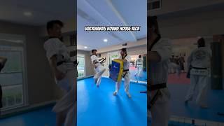 Roundhouse kick taekwondo martialarts [upl. by Sherye]