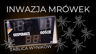 Inwazja mrówek zepsuła tablicę wyników sportowych ZREPERUJMY TO mrówki tablicawyników [upl. by Ymaj]