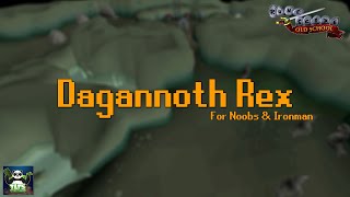 Quick Guide Dagganoth Rex for Low Levels  No ladder tricks  OSRS [upl. by Dyson834]