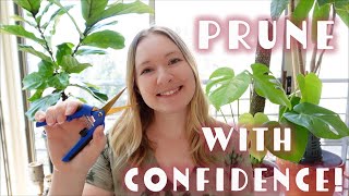 How to prune a monstera  Why pruning is important [upl. by Quita]